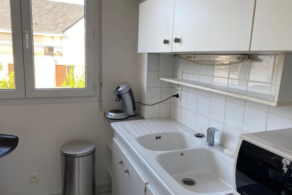 Charmant Appartement En Bord De Cher Saint-Avertin Eksteriør bilde