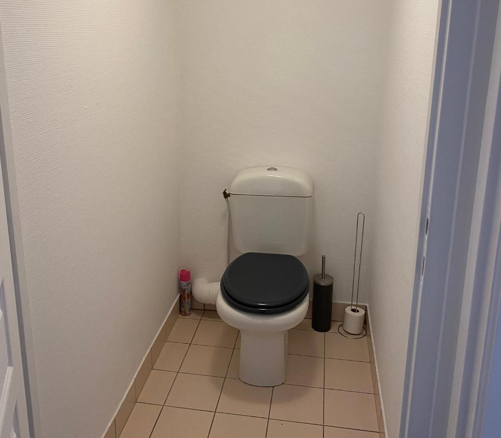 Charmant Appartement En Bord De Cher Saint-Avertin Eksteriør bilde